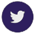 Follow us on Twitter